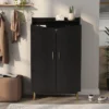 Tamworth Double Door Shoe Cabinet Black - MiBasics -Home Living Store GUEST 66ea026f db43 4bdd 9f1c 4563767268bb
